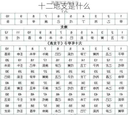 十二地支是什么-第2张图片-滋味星座网