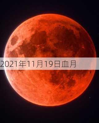 2021年11月19日血月-第1张图片-滋味星座网