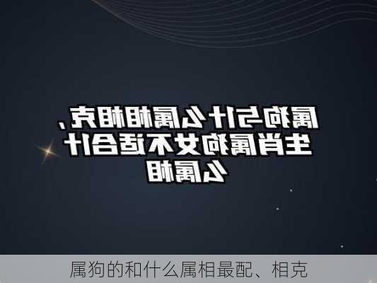 属狗的和什么属相最配、相克