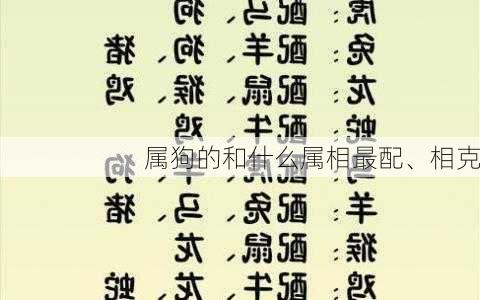 属狗的和什么属相最配、相克-第3张图片-滋味星座网