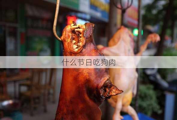 什么节日吃狗肉-第3张图片-滋味星座网