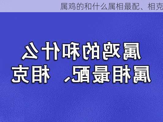 属鸡的和什么属相最配、相克-第2张图片-滋味星座网