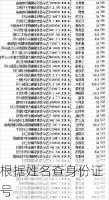 根据姓名查身份证号-第3张图片-滋味星座网