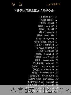 微信id英文什么好听的-第1张图片-滋味星座网