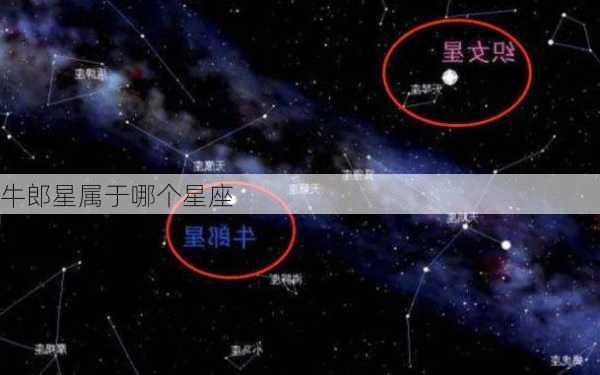 牛郎星属于哪个星座-第2张图片-滋味星座网