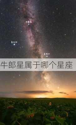 牛郎星属于哪个星座-第1张图片-滋味星座网