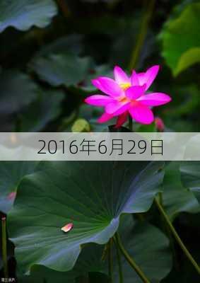 2016年6月29日-第3张图片-滋味星座网