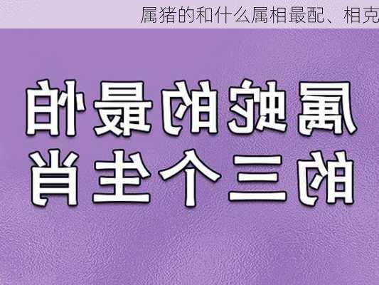 属猪的和什么属相最配、相克-第3张图片-滋味星座网