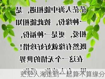 茫茫人海走到一起算不算缘分-第3张图片-滋味星座网