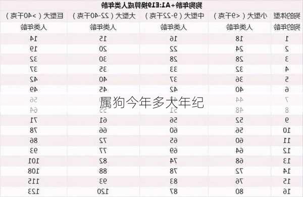 属狗今年多大年纪-第2张图片-滋味星座网