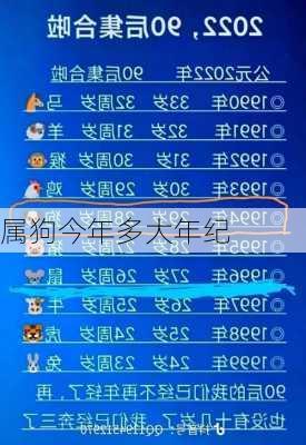 属狗今年多大年纪-第3张图片-滋味星座网