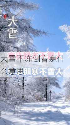 大雪不冻倒春寒什么意思-第1张图片-滋味星座网