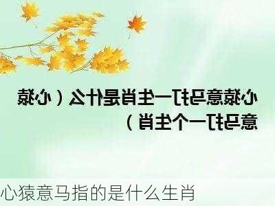 心猿意马指的是什么生肖-第1张图片-滋味星座网