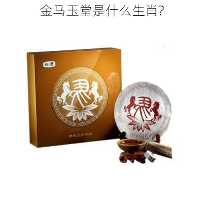 金马玉堂是什么生肖?-第3张图片-滋味星座网