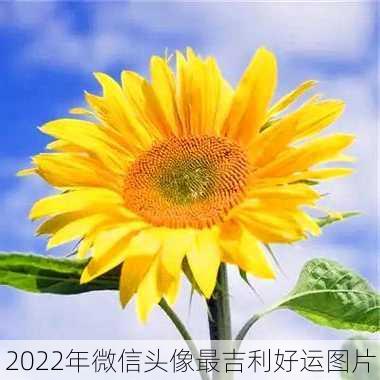 2022年微信头像最吉利好运图片-第1张图片-滋味星座网