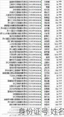 身份证号 姓名-第3张图片-滋味星座网