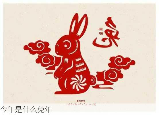 今年是什么兔年