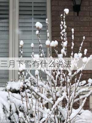 三月下雪有什么说法-第2张图片-滋味星座网