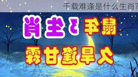 千载难逢是什么生肖?-第3张图片-滋味星座网