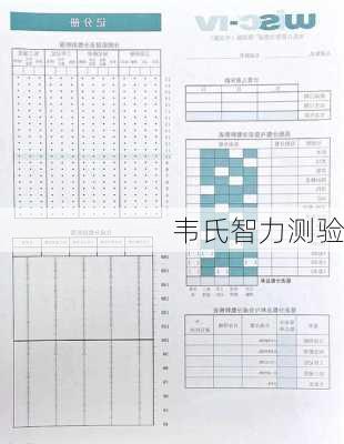 韦氏智力测验-第2张图片-滋味星座网