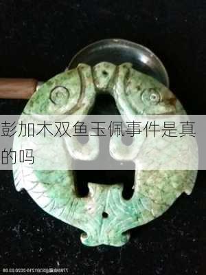 彭加木双鱼玉佩事件是真的吗-第3张图片-滋味星座网