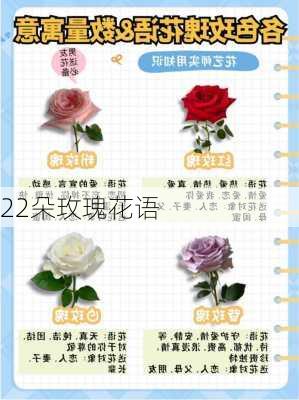 22朵玫瑰花语