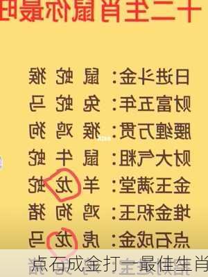 点石成金打一最佳生肖-第1张图片-滋味星座网