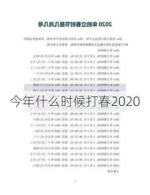 今年什么时候打春2020-第2张图片-滋味星座网