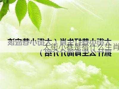 大街小巷是指什么生肖-第3张图片-滋味星座网