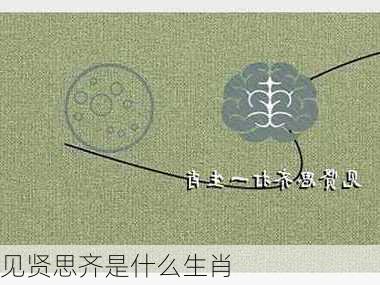 见贤思齐是什么生肖-第3张图片-滋味星座网