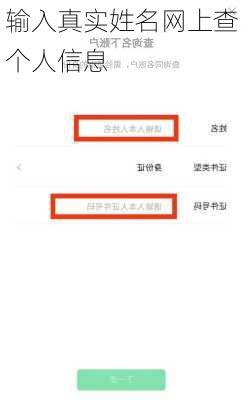 输入真实姓名网上查个人信息