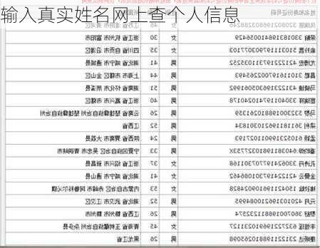 输入真实姓名网上查个人信息-第3张图片-滋味星座网