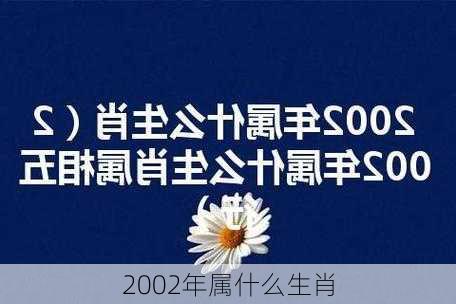 2002年属什么生肖-第3张图片-滋味星座网