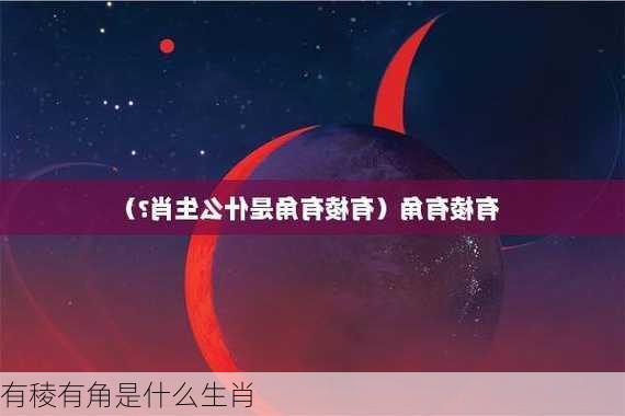 有稜有角是什么生肖-第2张图片-滋味星座网