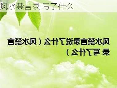 风水禁言录 写了什么