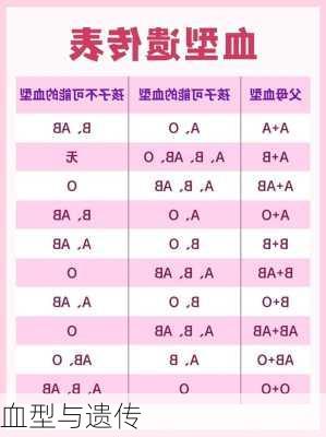 血型与遗传-第2张图片-滋味星座网