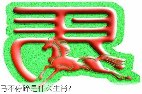 马不停蹄是什么生肖?-第2张图片-滋味星座网