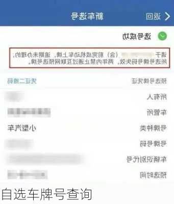 自选车牌号查询-第2张图片-滋味星座网
