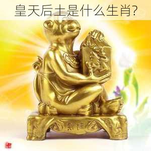 皇天后土是什么生肖?-第3张图片-滋味星座网