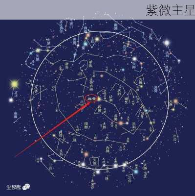 紫微主星-第2张图片-滋味星座网