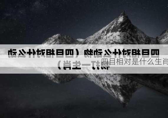 四目相对是什么生肖-第2张图片-滋味星座网