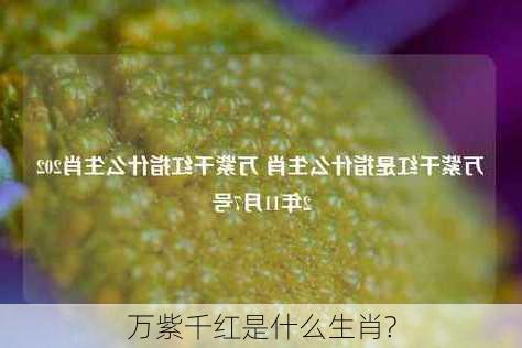 万紫千红是什么生肖?-第2张图片-滋味星座网