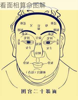 看面相算命图解