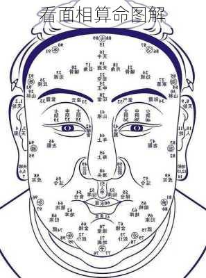 看面相算命图解-第2张图片-滋味星座网