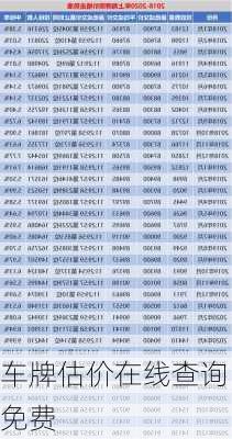 车牌估价在线查询免费-第3张图片-滋味星座网