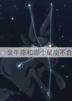 金牛座和哪个星座不合-第1张图片-滋味星座网