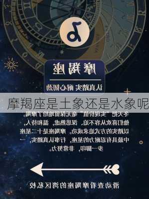 摩羯座是土象还是水象呢-第3张图片-滋味星座网