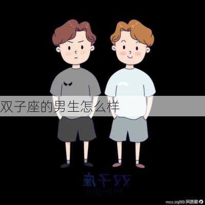 双子座的男生怎么样-第3张图片-滋味星座网