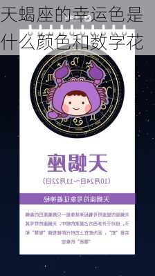 天蝎座的幸运色是什么颜色和数字花-第1张图片-滋味星座网