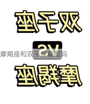 摩羯座和双子座能配吗-第1张图片-滋味星座网